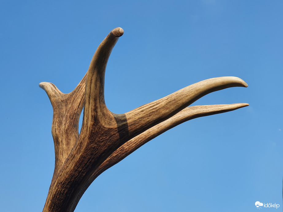 Szentpéterfölde 2022.trófeakiállítás - részlet