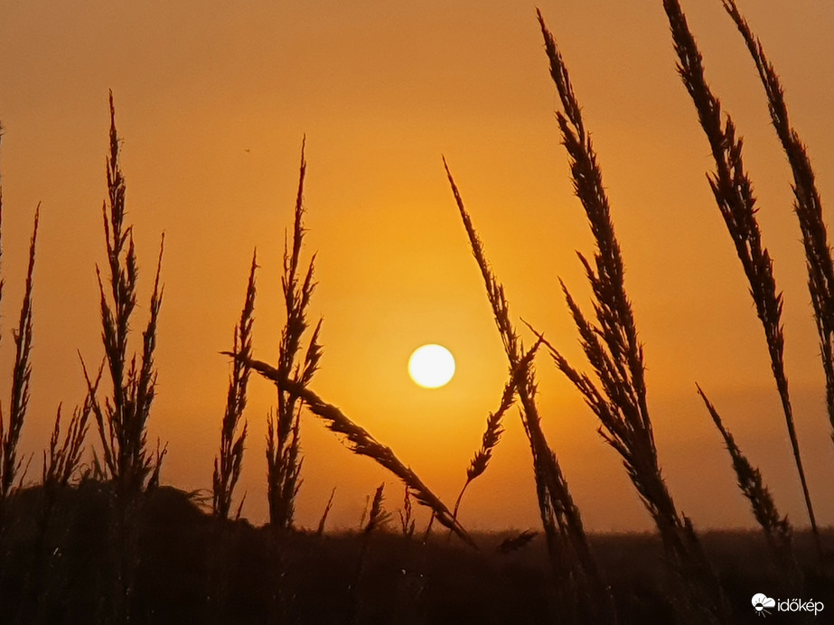 Csodaszép csütörtök reggel(t)