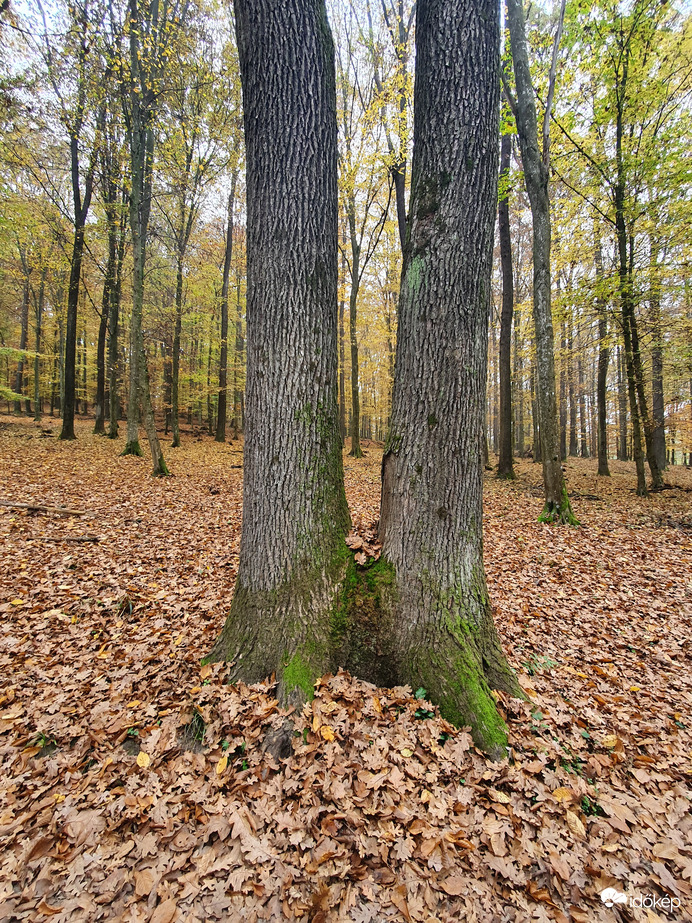 ...összetartozunk...örökre