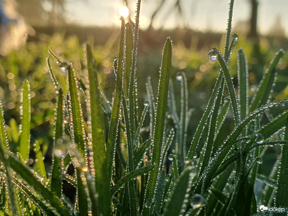 Harmatos jó reggelt!