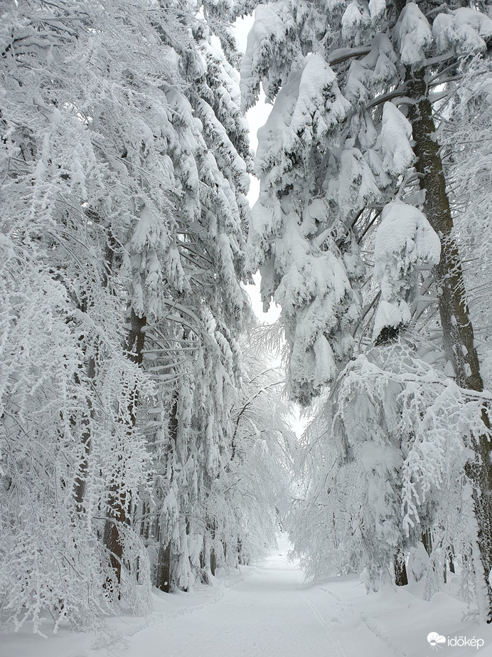 Havas túristaút ❤️❄️