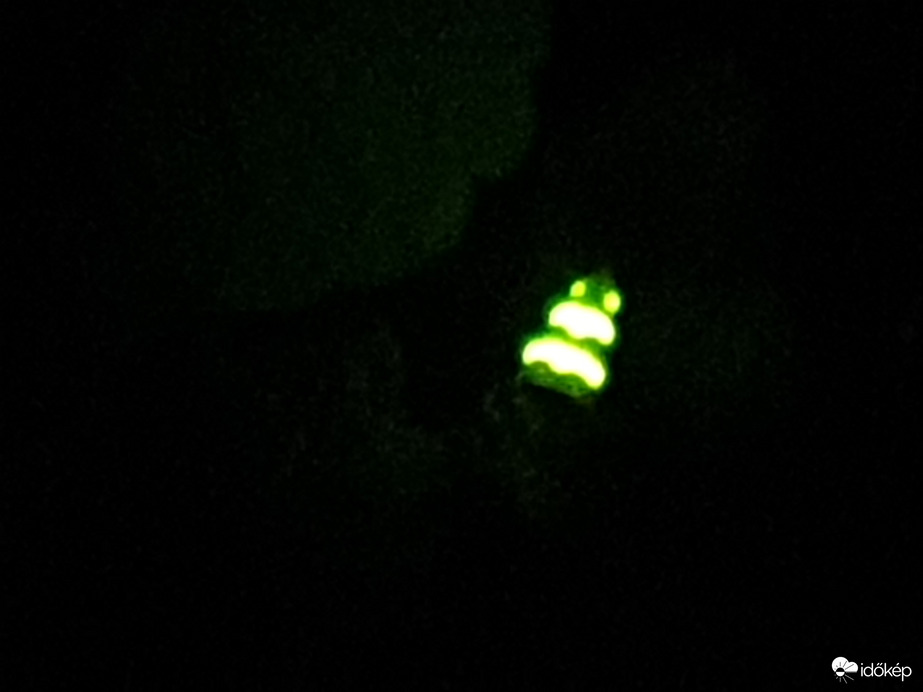 Nőstény szentjánosbogár közelebbről