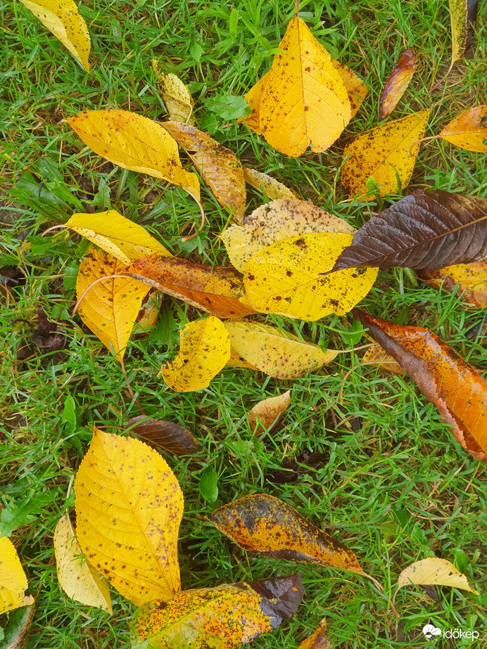 Augusztusi ősz...10fok