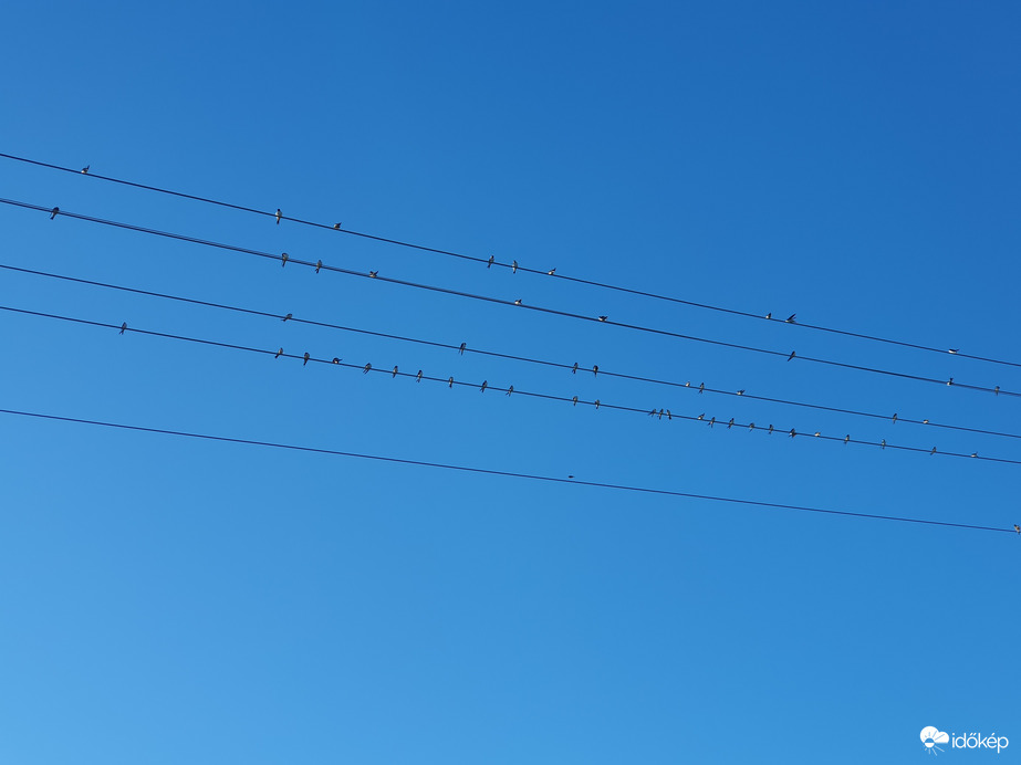 Elkezdődött a gyülekező :(