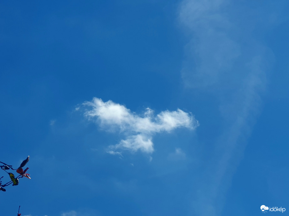 Békegalamb...égi galamb