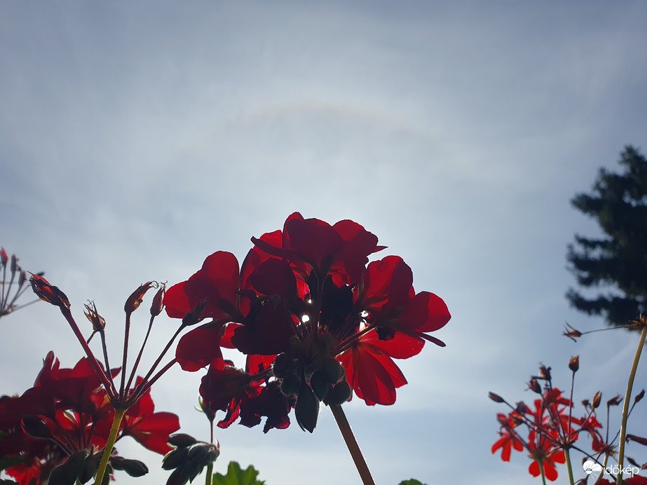 Az első októberi naphaló részletem❤️