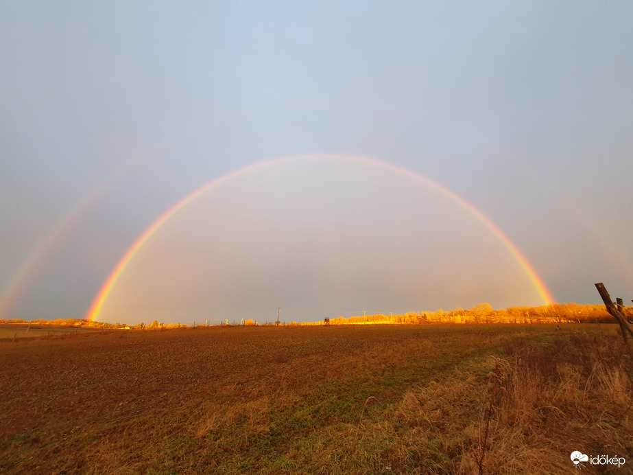 Miért jó esőben kutyát sétáltatni?