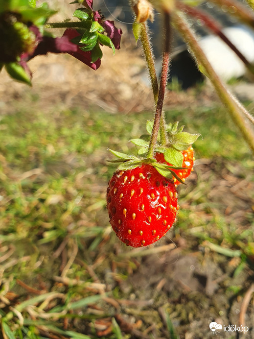 Lassan beérik❤️