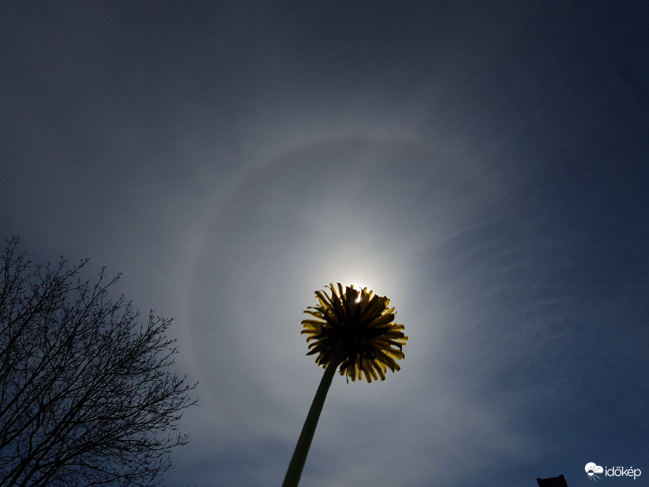 Pusztaederics naphalo