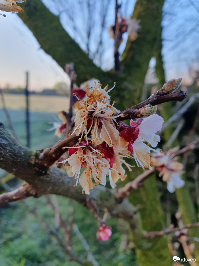 Égiek leszüreteltek :(