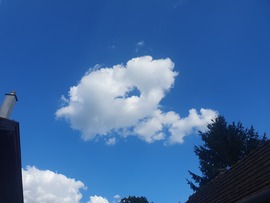 Amikor a fenyő "füstkarikát" fúj