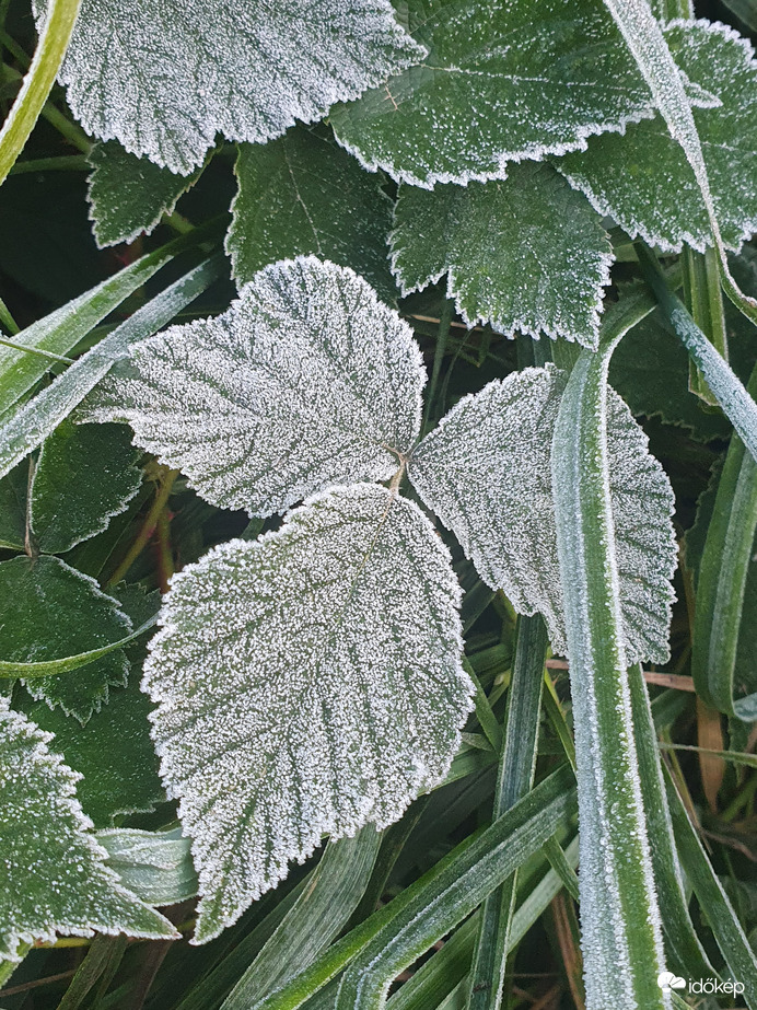 Az első októberi hóharmat 10.03.