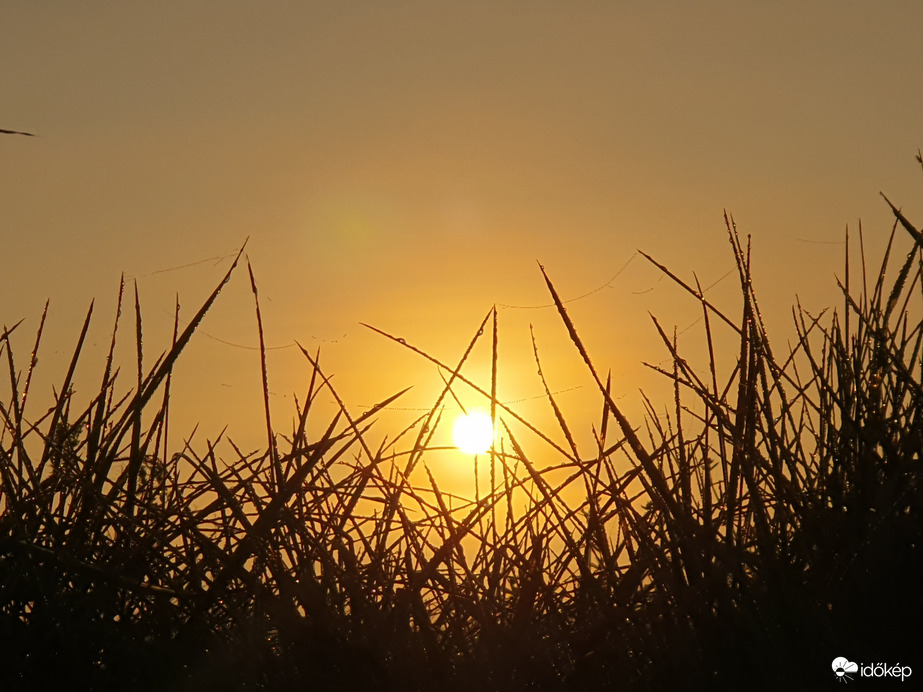Harmatos jó reggelt! 10.17.