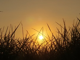 Harmatos jó reggelt! 10.17.