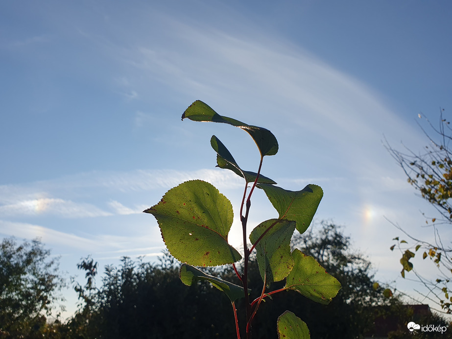 Dupla melléknap 10.19.