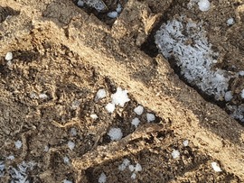 BÚÉK 2026...Csillaghullás volt éjjel ;)