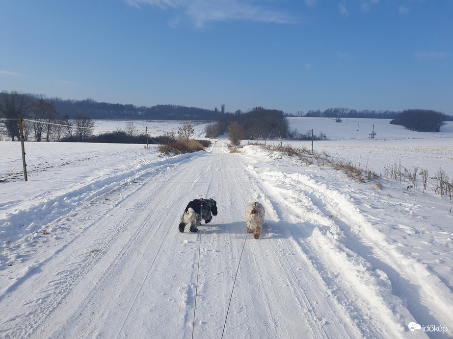 Ideális sétáltató idő ❄️❤️