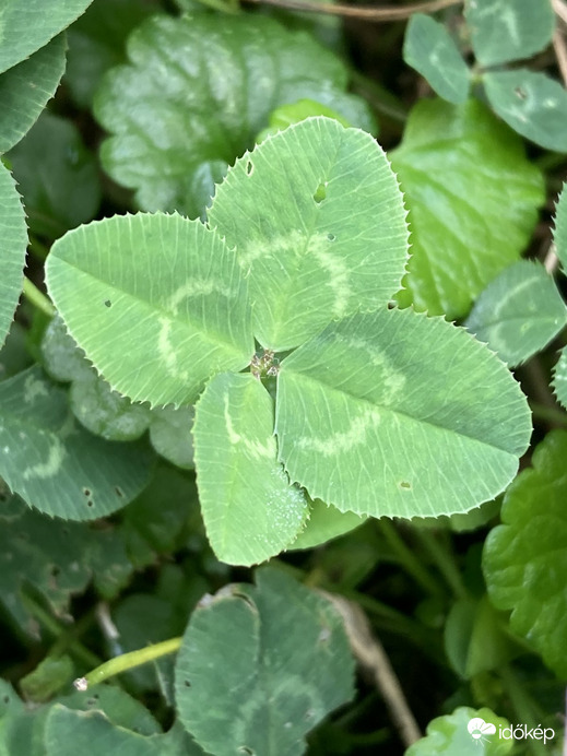 Szerencsés napot mindenkinek!❤️
