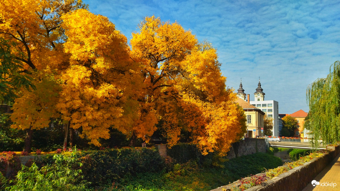 Őszi színpompa.