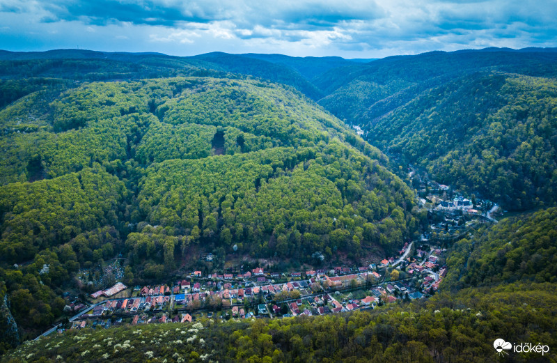 Kizöldült a Bükk az eső után