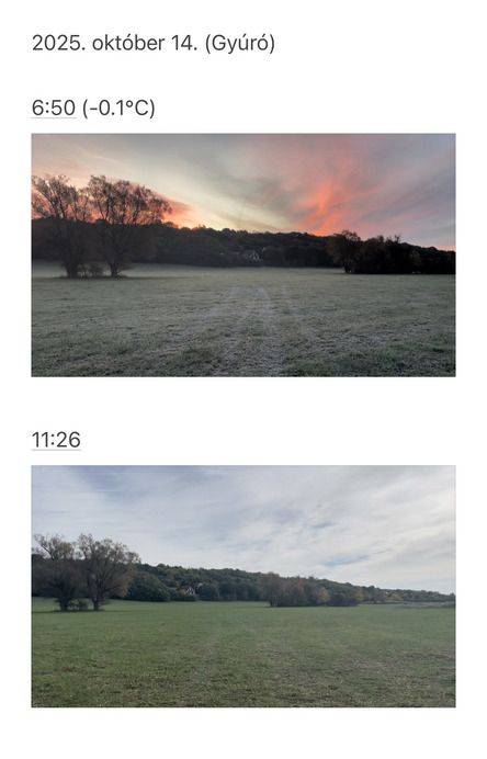 A reggeli fagyból délig 14°C is lett!