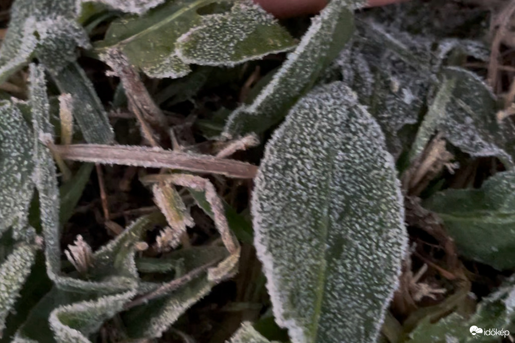 Ma reggel fagy volt Gyúrón