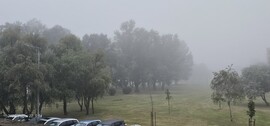 Székesfehérvár