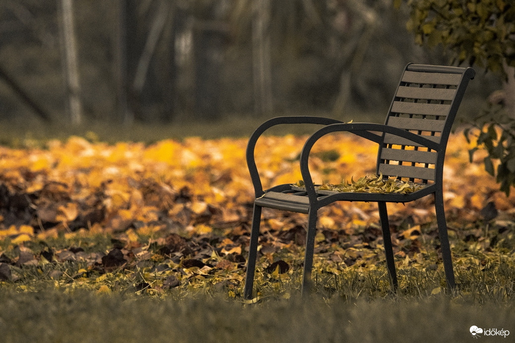 Őszi csendélet III.