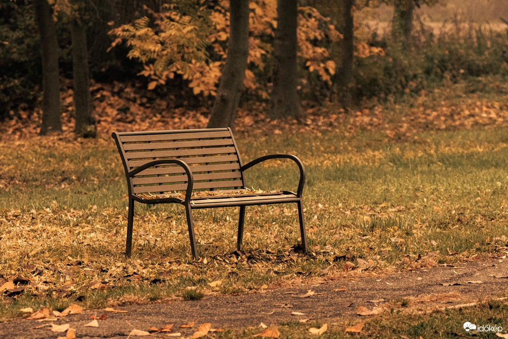 Őszi csendélet II.