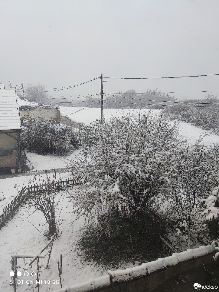 Észlelési fényképek