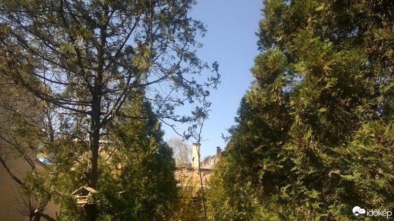 Észlelési fényképek