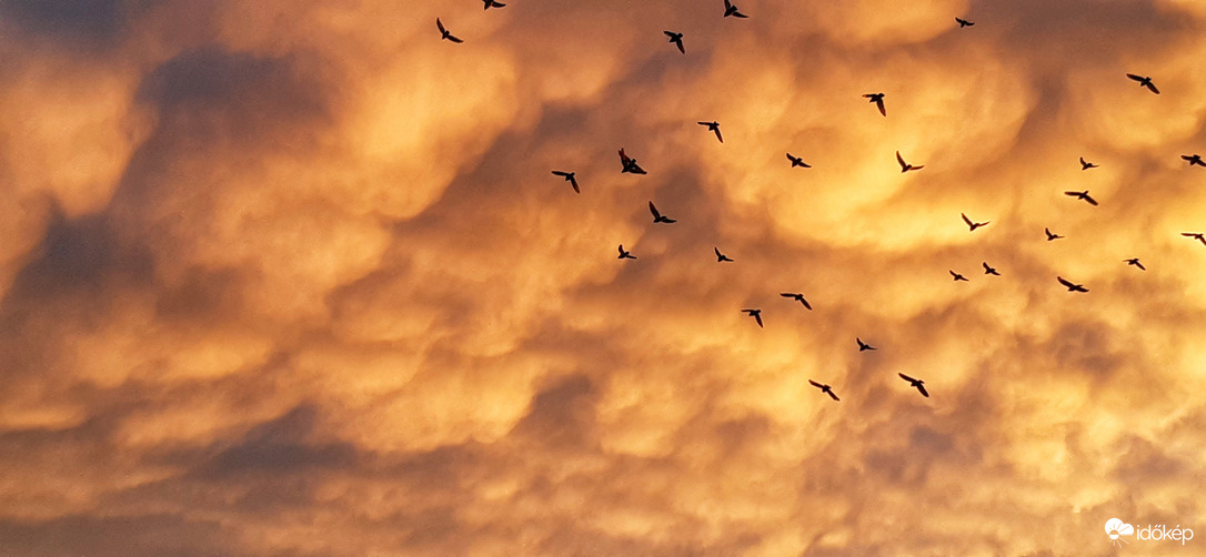 Szeles,esős nap után mammázunk :)