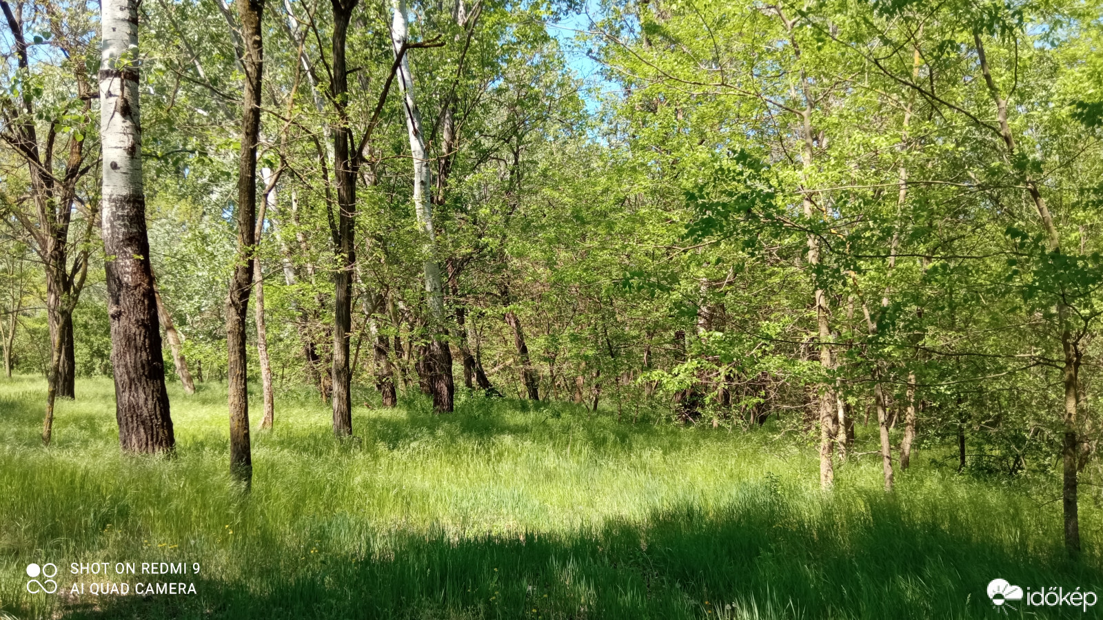 Észlelési fényképek