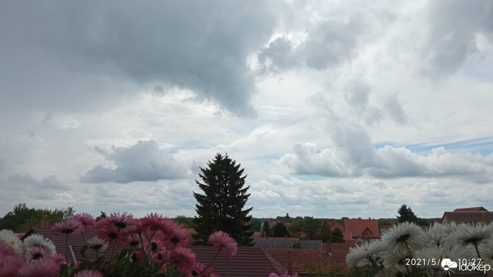 Észlelési fényképek