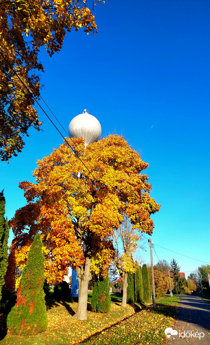 Víztorony bújócskázik