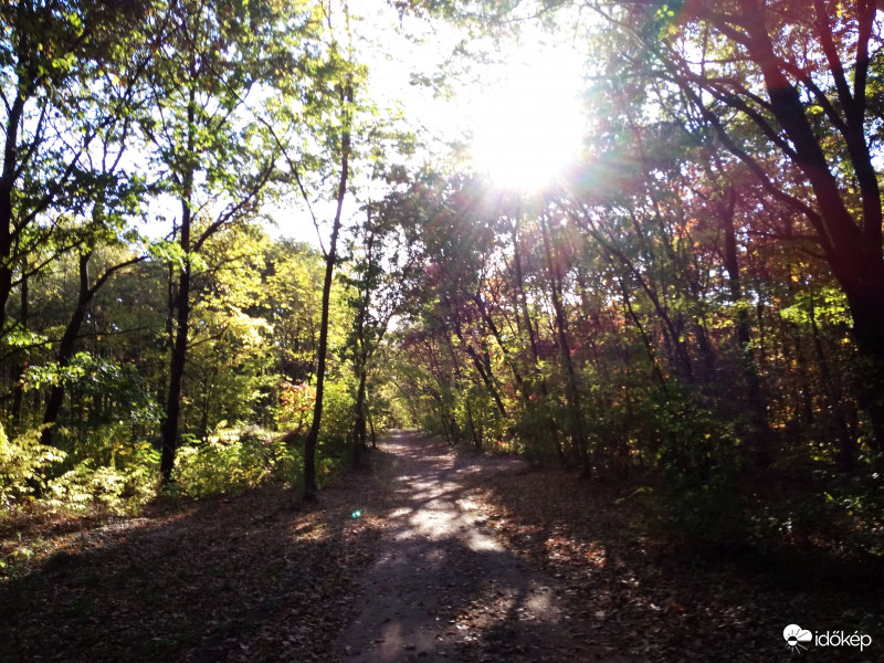Keresztúri-erdő, Budapest