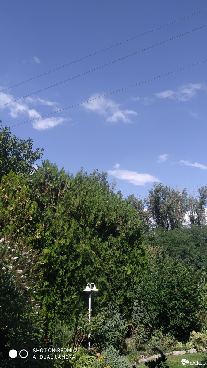 Észlelési fényképek