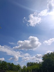 Daruszentmiklós
