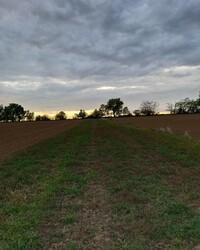 Balatonfüred
