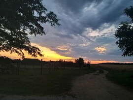 Balatonfüred