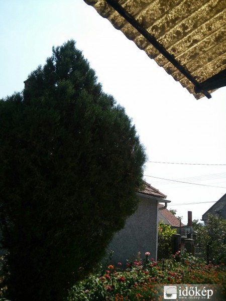 Észlelési fényképek