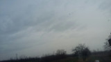 Nyírvasvári
