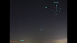 Lemon üstökös kereső