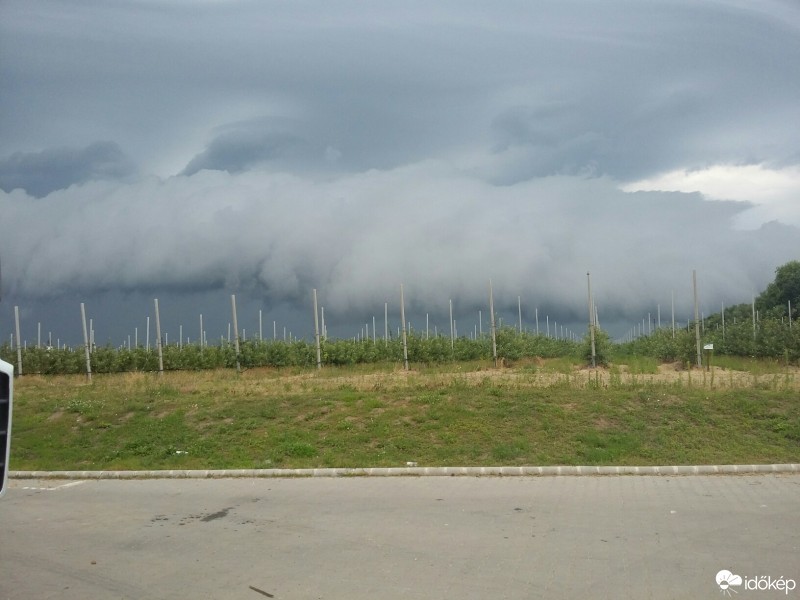 Észlelési fényképek