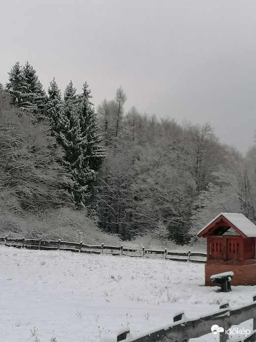 Somhegyi erdészháznál