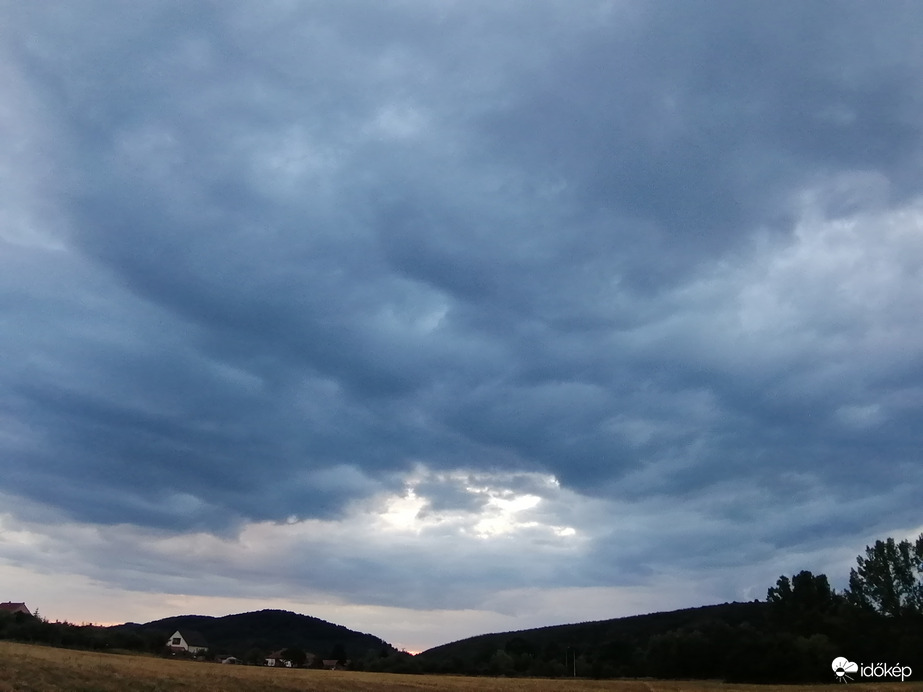 Hátha lesz belőle valami! 