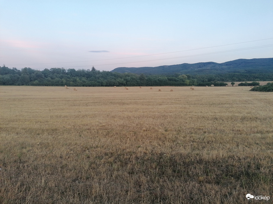 Nyári rét? 