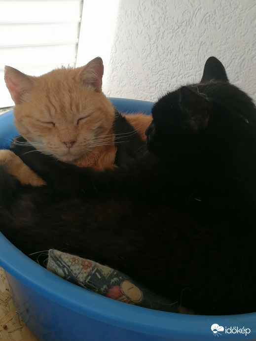 Aludj csak, Én majd... 