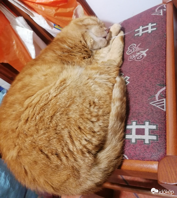 Vajon miről álmodok? 