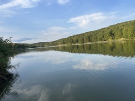 Búzásvōlgyi séta I.